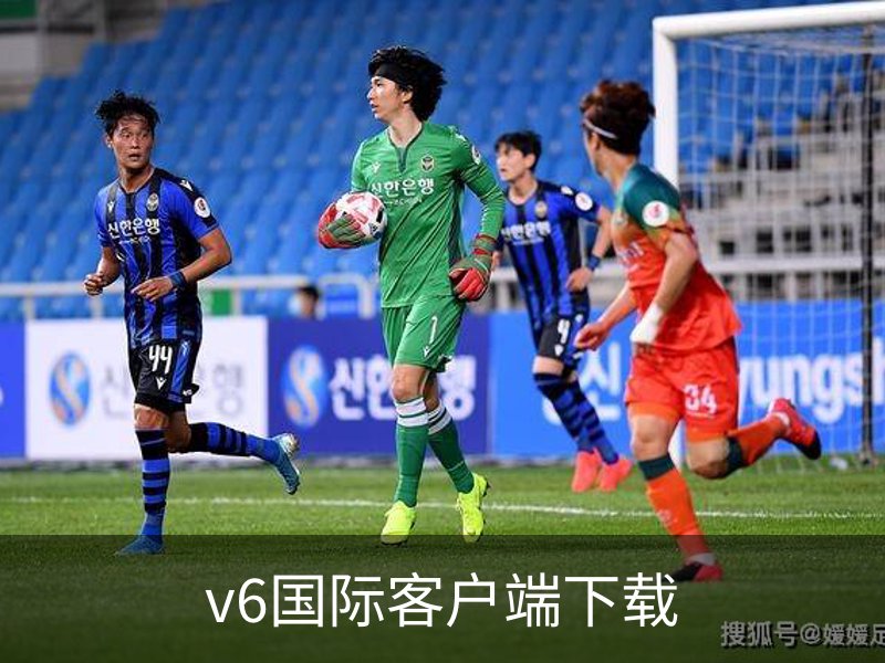 了解v6国际客户端下载